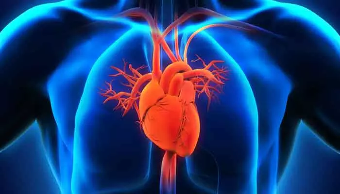 Heart bypass surgery: గుండె బైపాస్ సర్జరీ అనంతరం ఈ పదార్థాలు తింటున్నారా..?