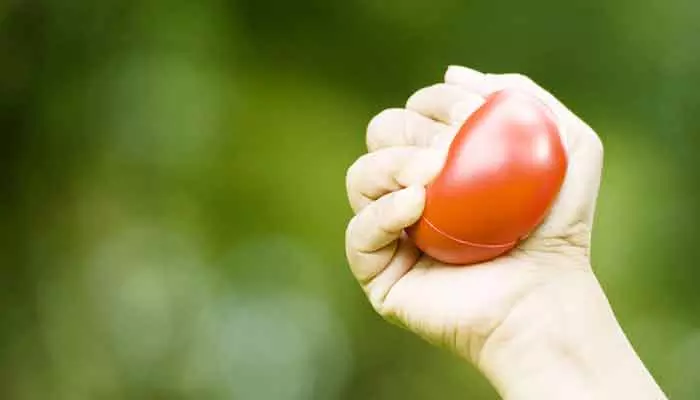 stress balls: స్ట్రెస్ బాల్స్ వినియోగం.. శరీరంలో జరిగే మార్పులివే?