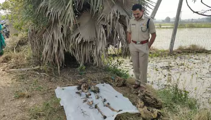 అనుమానస్పద స్థితిలో మహిళ మృతదేహా అవశేషాలు..