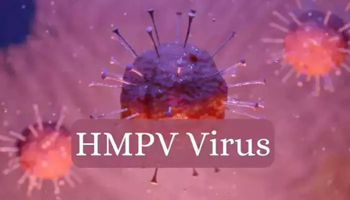 HMPV: భారతదేశంలో విజృంభిస్తోన్న HMPV వైరస్.. పెరుగుతోన్న కేసుల సంఖ్య