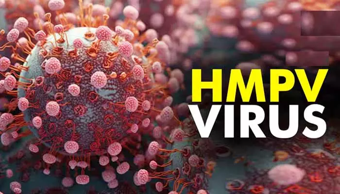 HMPV Virus: కంగారు పెట్టిస్తున్న హెచ్ఎంపీవీ వైరస్.. ఆ రాష్ట్రంలో రెండు కేసులు నమోదు