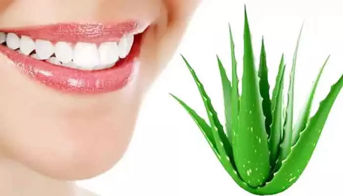 Aloevera gel: కలబంద జెల్‌ను ఇలా వాడుతున్నారా.. ఎదుర్కొనే దుష్ప్రభావాలివే?