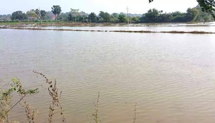 పంట పొలాల్లోకి పొంగిపొర్లిన భక్త రామదాసు నీళ్లు