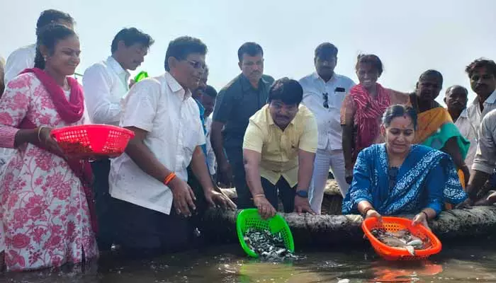 కృష్ణానది వెనుక జలాల్లో 21 లక్షల చేప పిల్లలు వదిలిన ఎంపీ